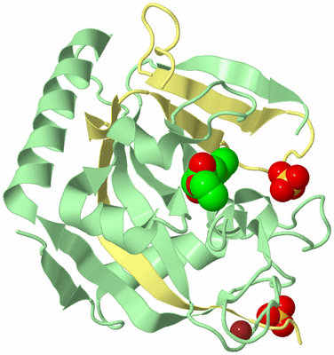 Image Biological Unit 2