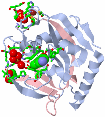 Image Biol. Unit 1 - sites