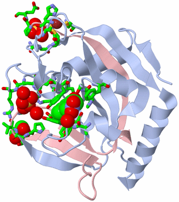 Image Biol. Unit 1 - sites