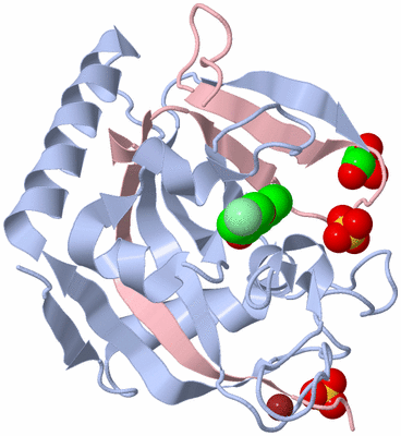 Image Biological Unit 1