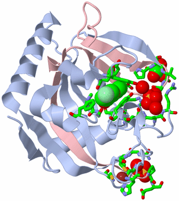 Image Biol. Unit 1 - sites