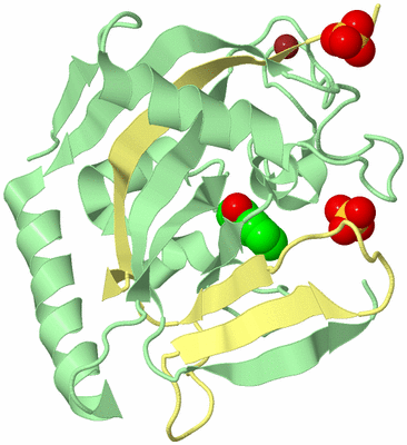 Image Biological Unit 2