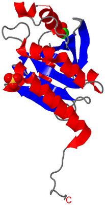 Image Asymmetric Unit