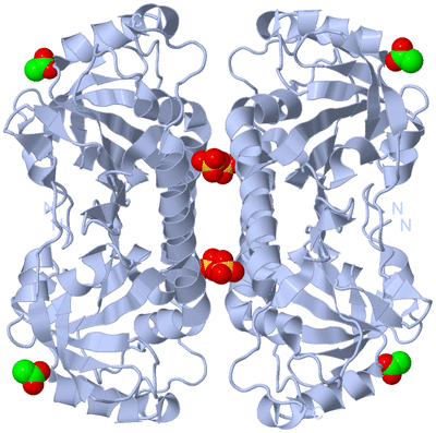 Image Biological Unit 2