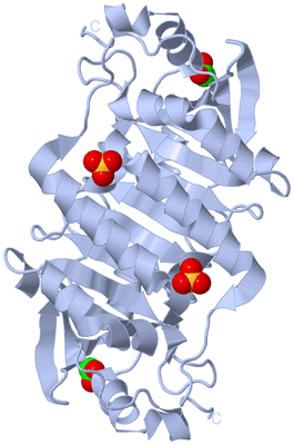 Image Biological Unit 3