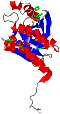 Image Asym. Unit - sites