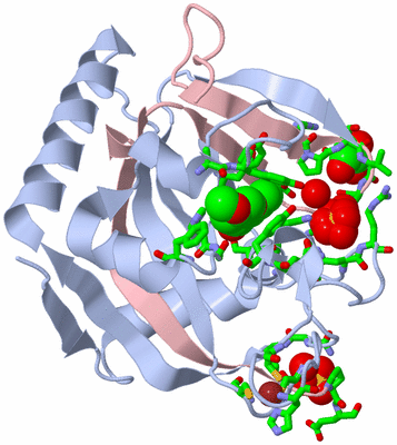 Image Biol. Unit 1 - sites