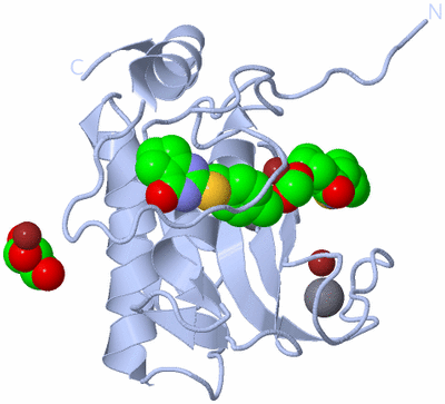 Image Biological Unit 1