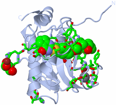 Image Biol. Unit 1 - sites