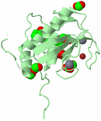 Image Biological Unit 2