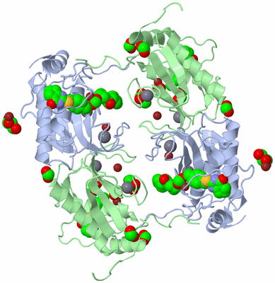 Image Biological Unit 3