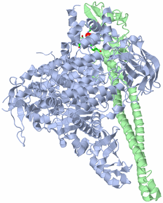 Image Asym./Biol. Unit - sites