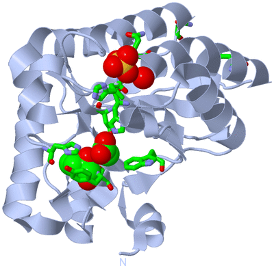 Image Biol. Unit 1 - sites