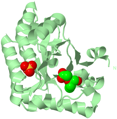 Image Biological Unit 2