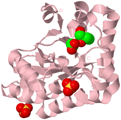 Image Biological Unit 3