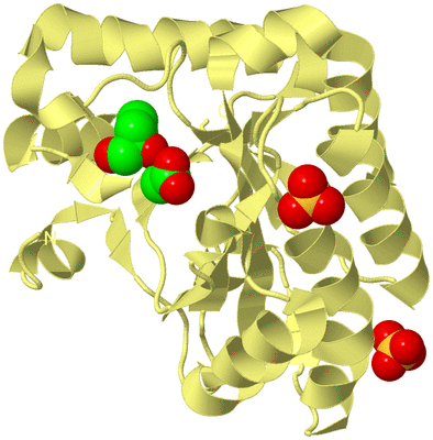 Image Biological Unit 4