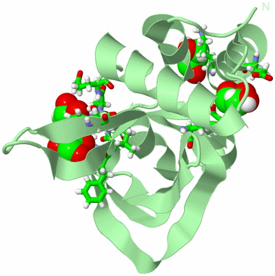 Image Biol. Unit 1 - sites