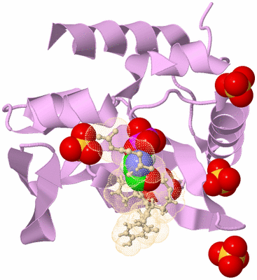 Image Biological Unit 3