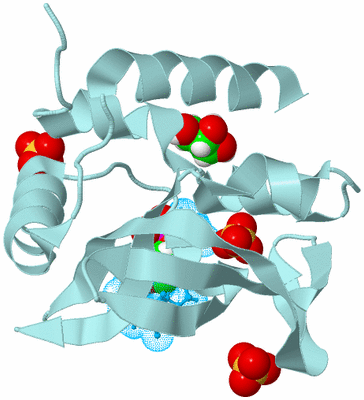 Image Biological Unit 4