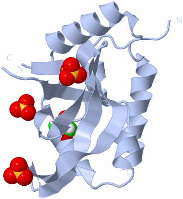 Image Biological Unit 5