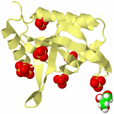 Image Biological Unit 6