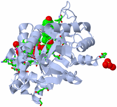 Image Biol. Unit 1 - sites