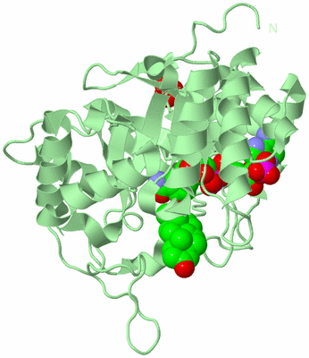 Image Biological Unit 2