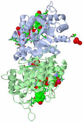 Image Asym. Unit - sites