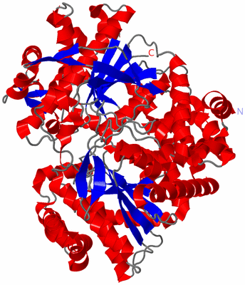 Image Asym./Biol. Unit