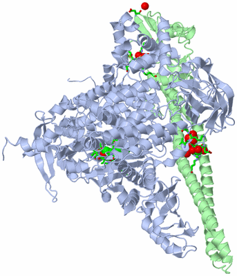 Image Asym./Biol. Unit - sites