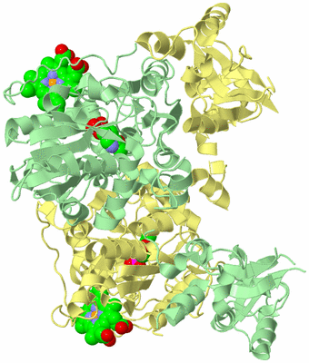 Image Biological Unit 1