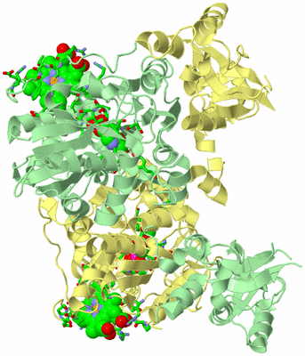 Image Biol. Unit 1 - sites