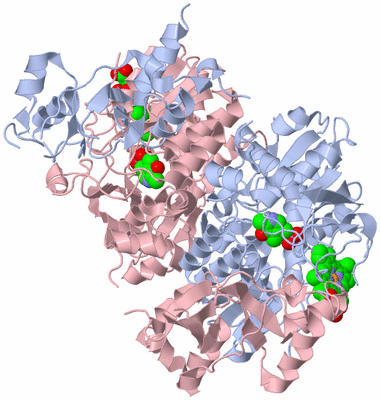 Image Biological Unit 2