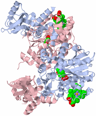 Image Biological Unit 1