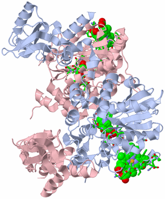 Image Biol. Unit 1 - sites