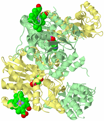 Image Biological Unit 2