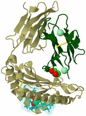 Image Biological Unit 10