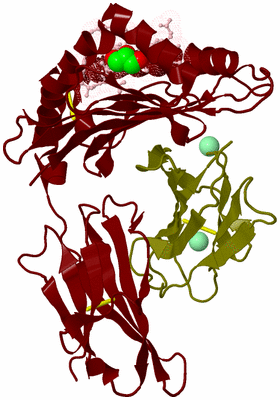 Image Biological Unit 11