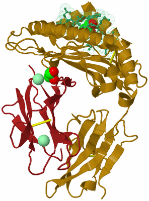 Image Biological Unit 13