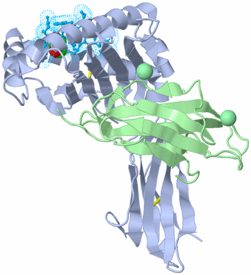 Image Biological Unit 14