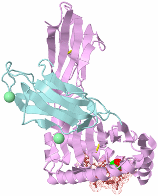 Image Biological Unit 3