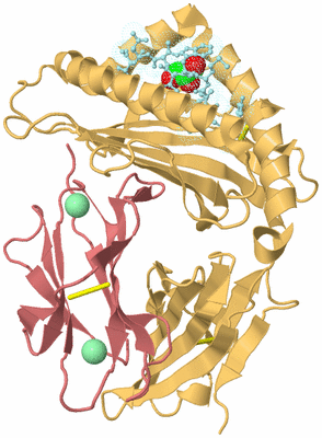 Image Biological Unit 4