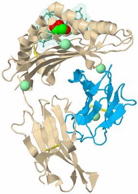 Image Biological Unit 5