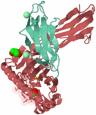 Image Biological Unit 6