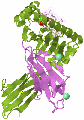 Image Biological Unit 7