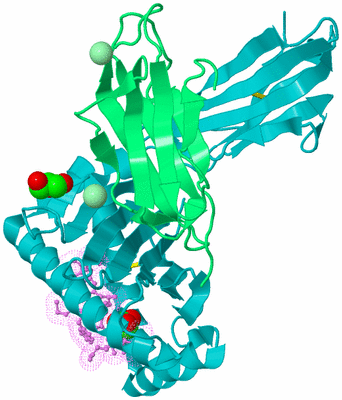 Image Biological Unit 8