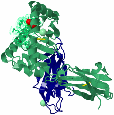 Image Biological Unit 9