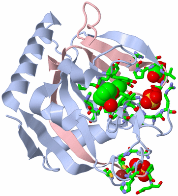 Image Biol. Unit 1 - sites