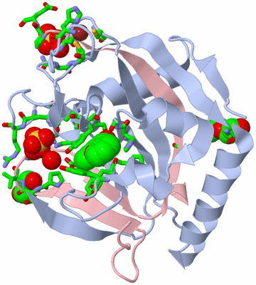 Image Biol. Unit 1 - sites