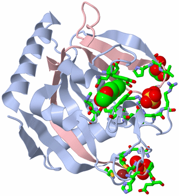 Image Biol. Unit 1 - sites